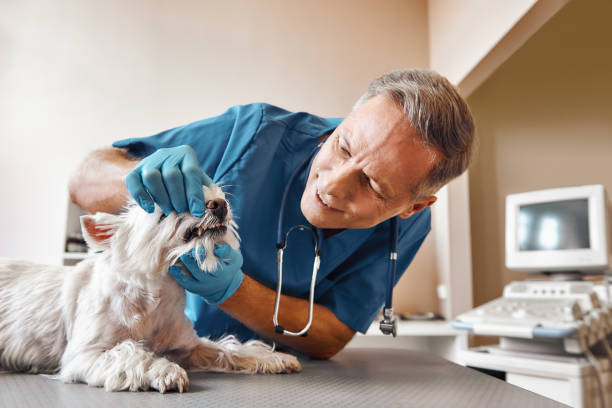 Best Urgent Care for Lost Fillings or Crowns in Forest City, FL